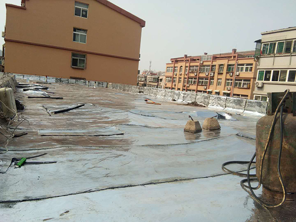微信图片_20190311093055.jpg