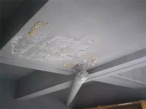 屋顶防水堵漏