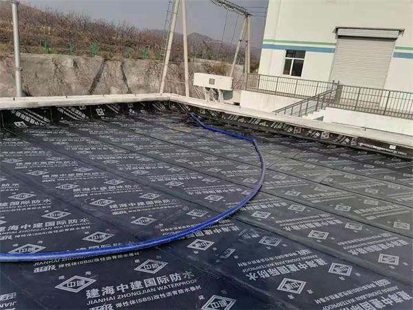 业务范围
