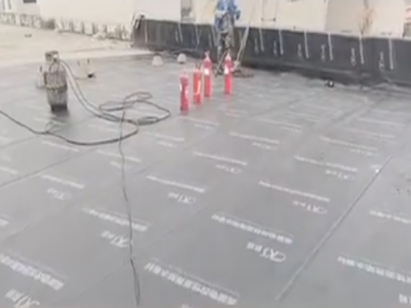 楼房防水施工